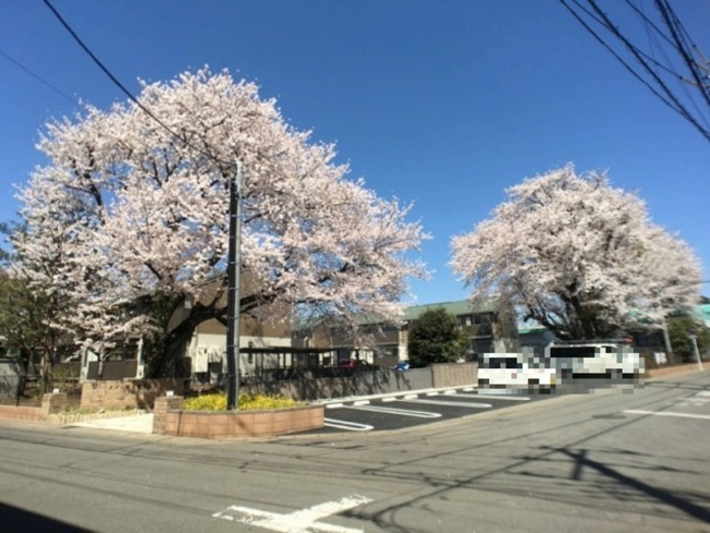 | メゾン医大前桜 Ｅ | 物件眺望（春）