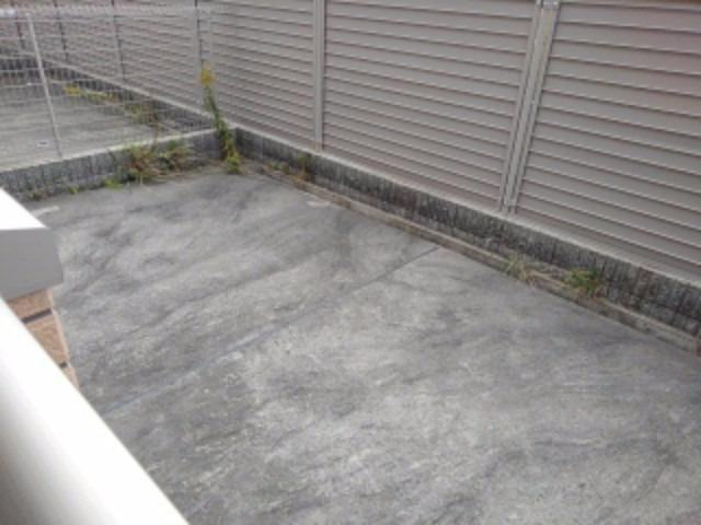 シェーン　ホーフのその他
