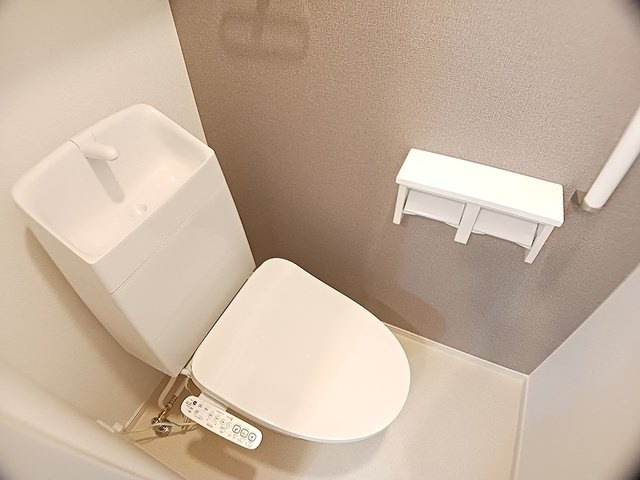 メゾン　ド　グレイスＢのトイレ