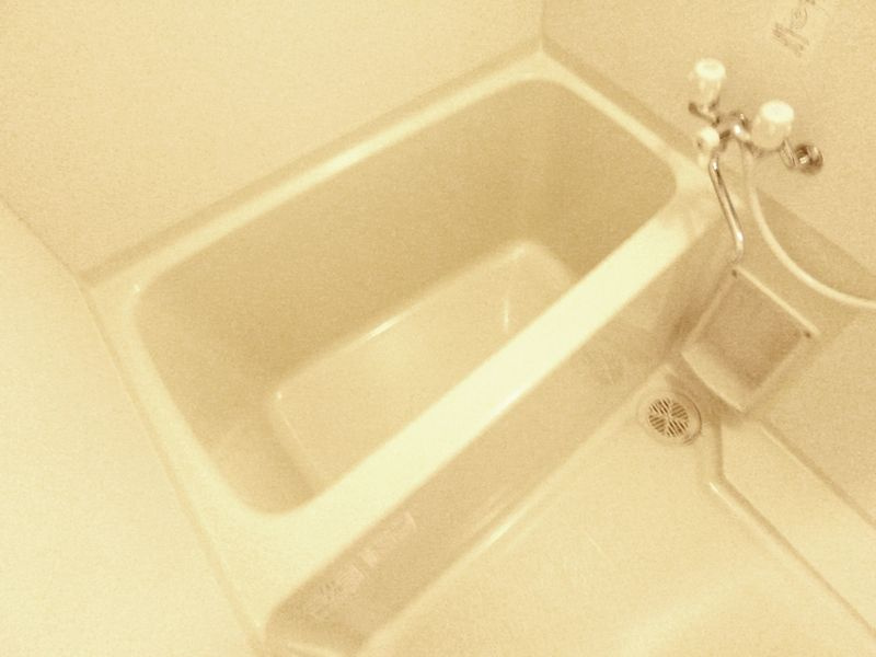 ラプソ一之江の浴室