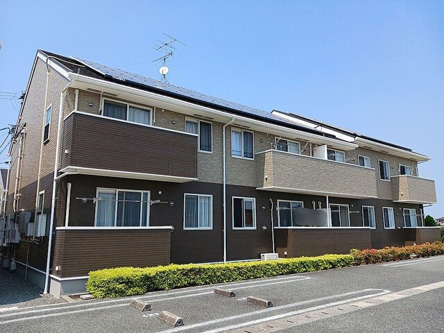 アングレカム　Ｄ