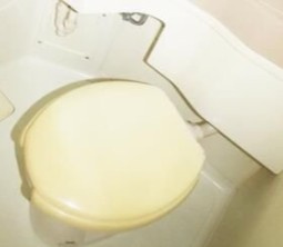 ジョイフル中山三番館の洗面所