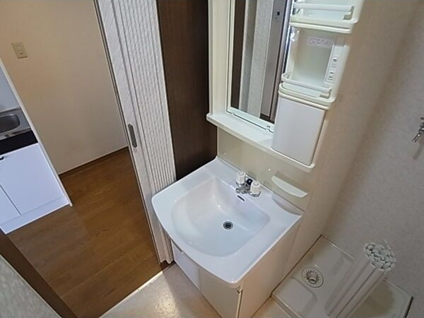 コーポラス香紀の洗面所
