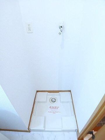 スプリングウィンドⅡの内装