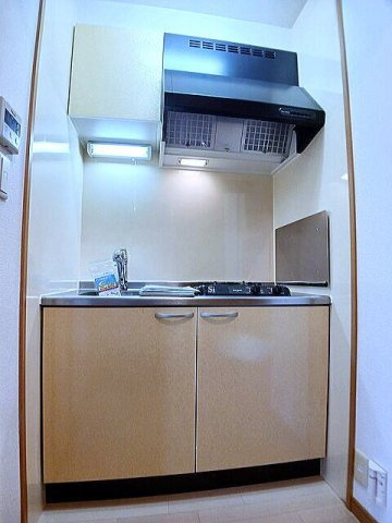 スプリングウィンドⅡのキッチン