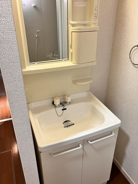 カーサモンテベルデの洗面所