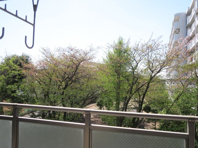 フジヴェール法連寺山の展望