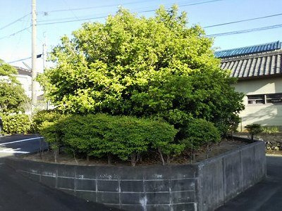レオパレスＭＫ－Ⅰのその他