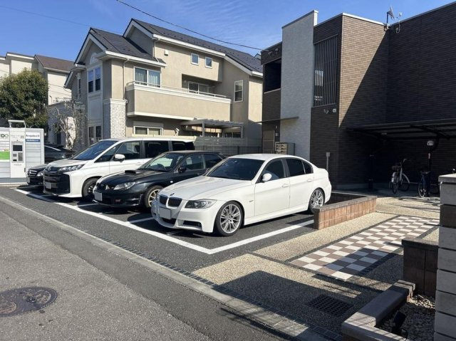 ミランダアレグリアのその他