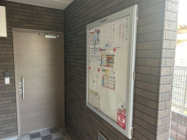 ミランダアレグリアのその他