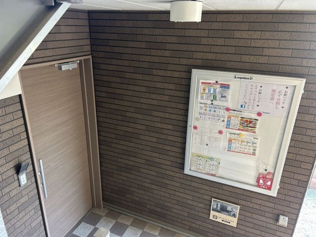 ミランダアレグリアのその他