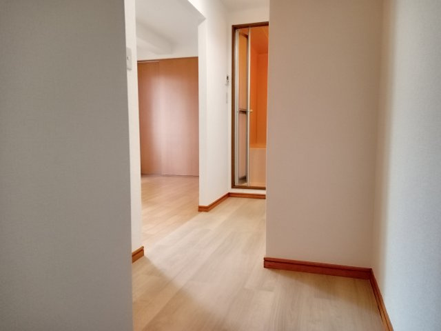 川崎市多摩区菅城下の賃貸マンションの内装|別部屋参考