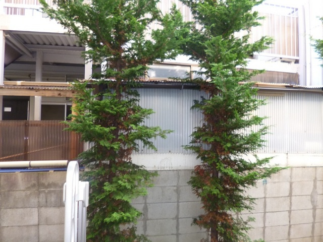 イーストヤマカの展望|バルコニーから見た景色です。