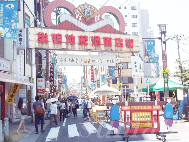 グランヴァン駒込染井のその他|サンドラッグ巣鴨店