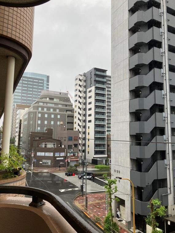 グレイス錦糸町の展望