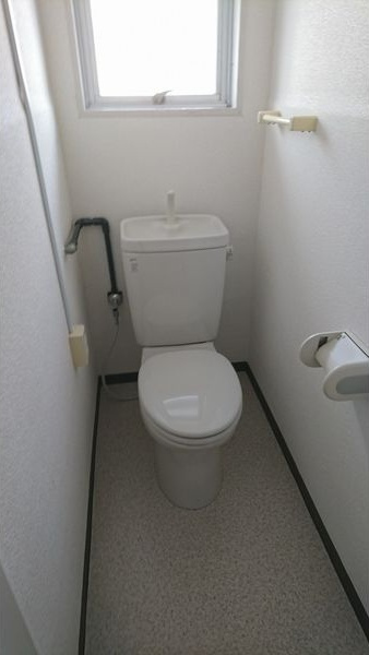 ビュークレスト高良内のトイレ