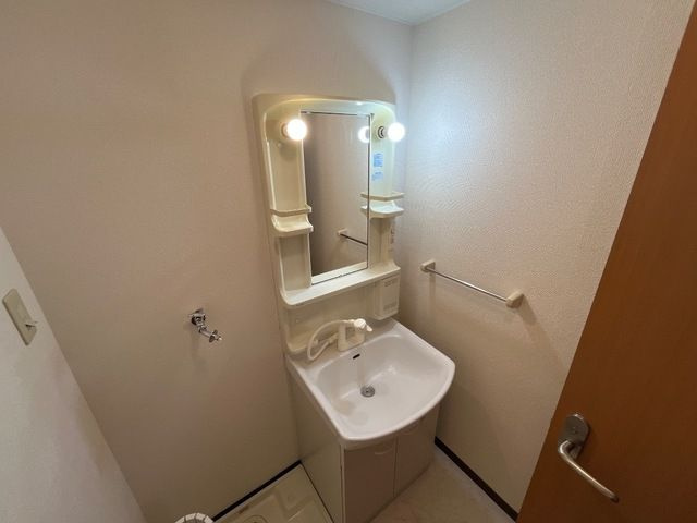メゾンディールの洗面所