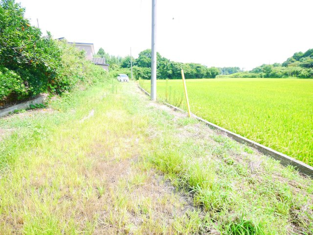 茂原市千町　平屋中古戸建の前面道路含む現地写真|平成10年9月築 ４DK平屋 駐車場がありません（近隣貸駐車無し）含め自然豊かな閑静な立地 