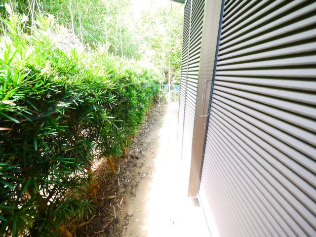 茂原市千町　平屋中古戸建の庭|平成10年9月築 ４DK平屋 駐車場がありません（近隣貸駐車無し）含め自然豊かな閑静な立地 