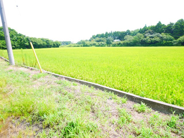 茂原市千町　平屋中古戸建の展望|平成10年9月築 ４DK平屋 駐車場がありません（近隣貸駐車無し）含め自然豊かな閑静な立地 