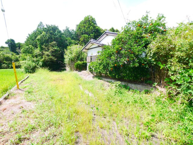 茂原市千町　平屋中古戸建の前面道路含む現地写真|平成10年9月築 ４DK平屋 駐車場がありません（近隣貸駐車無し）含め自然豊かな閑静な立地 