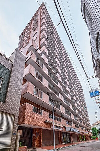 ルックハイツ金町（11階部分）／仲介手数料無料／新規フルリノベーション