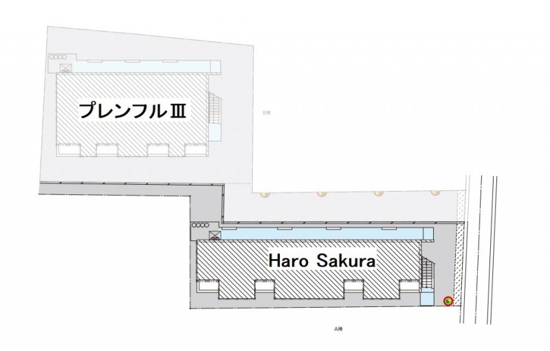 Ｈａｒｏ　Ｓａｋｕｒａのその他