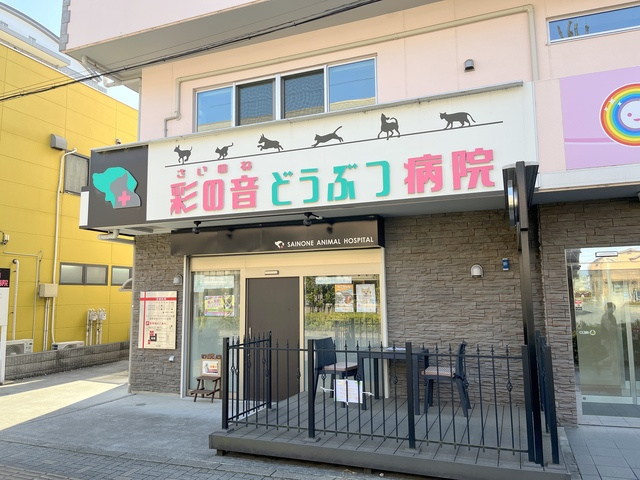 メテオールのその他|彩の音どうぶつ病院