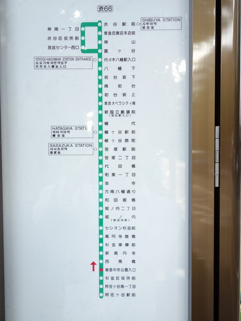 グレイス阿佐ヶ谷の周辺
