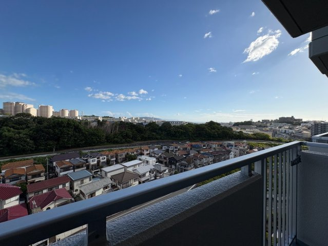 パレス朝霧の展望