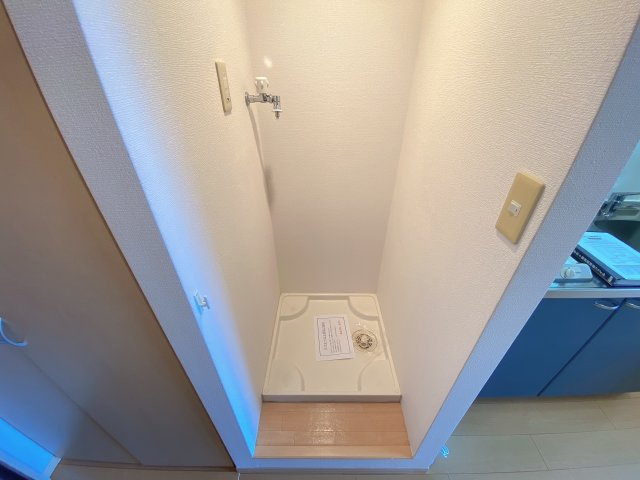 ヴェルドミールのその他
