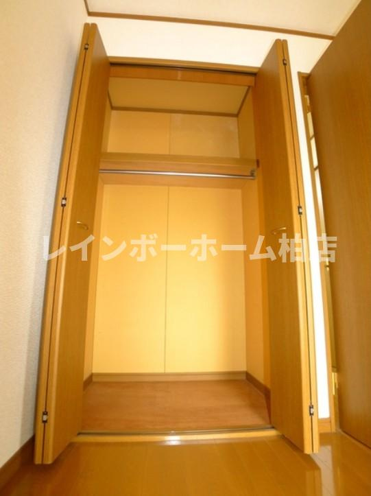 仲介手数料50％半額キャンペーン物件の収納|小物を収納するのに便利です