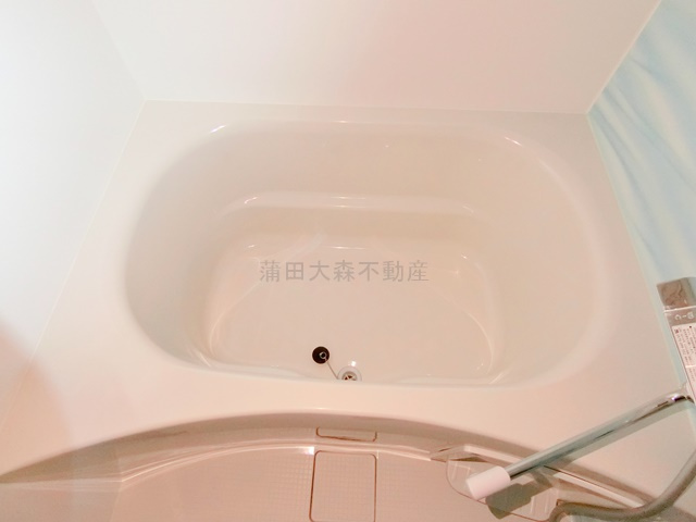 ラフィスタ羽田の設備|室内洗濯機置き場