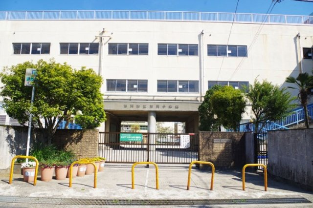 市川市市川３丁目３１６①の周辺|市川小学校