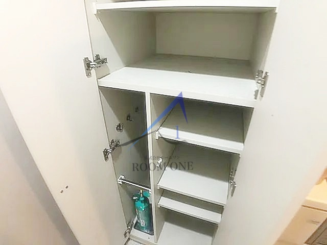 カスタリア銀座Ⅱのその他