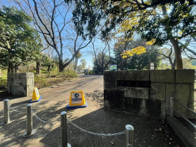 ウィズハイム新横浜のその他|岸根公園