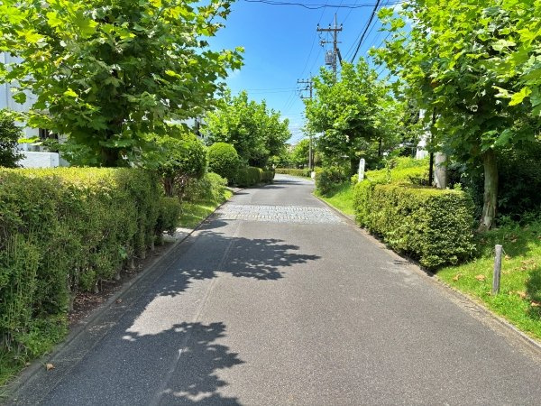 緑豊かな敷地内道路