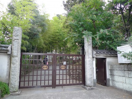 ピア清水の周辺
