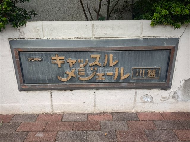 【現況写真】 | キャッスルメジェール川越 | 毎日通るエントランスです