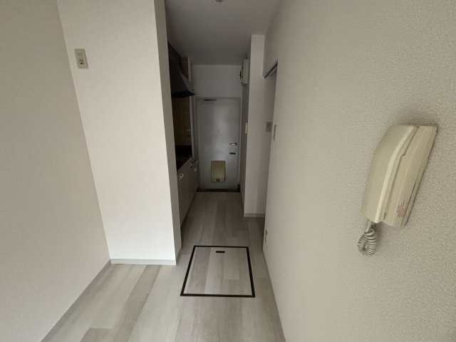 細井ハイツⅠのその他