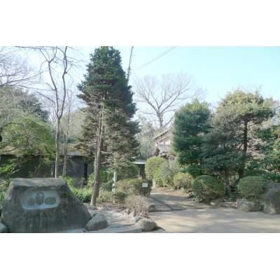  | 第２ゼルコーバ烏山