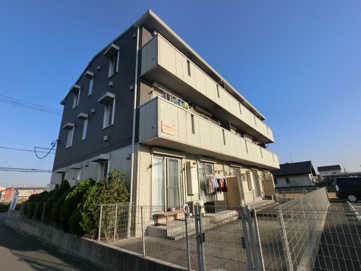 イルセレーナの画像