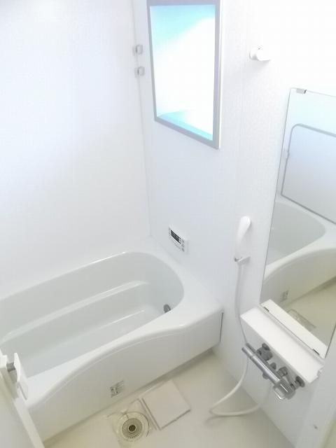 ダイナ大島の浴室