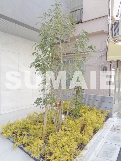ティモーネグランデ田端のその他|植栽です☆