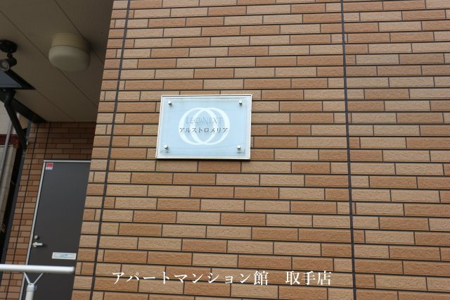 レオネクストアルストロメリアのその他