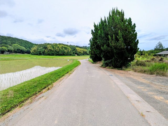 姫路市山田町南山田　建築条件なし土地　　の外観|道路東側。辺はのどかな田園風景です。南約50mで国道「小野香寺線」とアクセスも良好です。