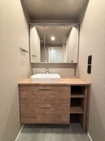 レジディア錦糸町Ⅱの洗面所