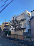 グラン・ジュテの画像