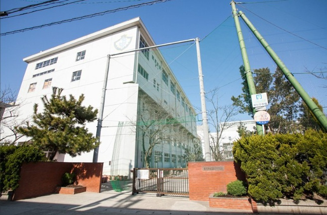 市川市富浜３丁目３１１⑤の周辺|第七中学校