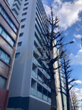 コンフォリア文京春日の画像